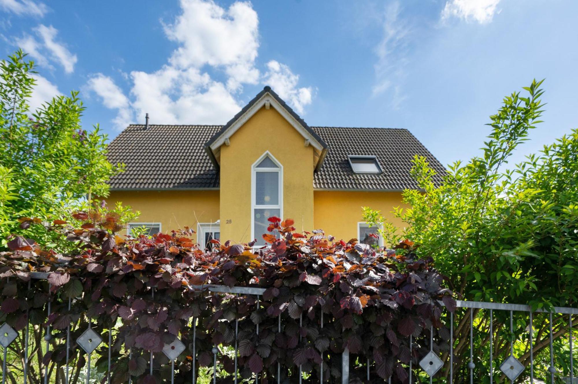 Schober * Dresde